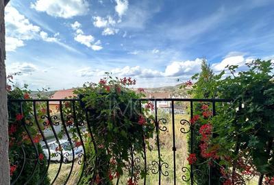 Casa individuala de vanzare - Sura Mare - 9