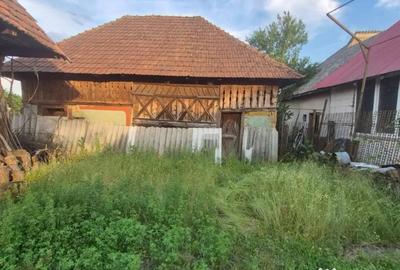 Casă cu 2 camere cu Teren 3000 Mp în Bârgău - 7
