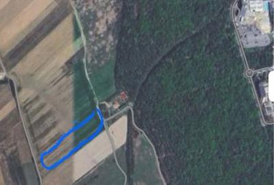 Spațiu comercial, în Băile Felix - 1