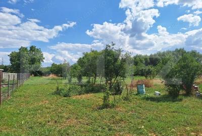 Casă cu 3 camere cu Teren 4600 Mp în Plopi - 6