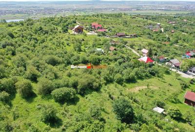 Teren de 2878 mp, în Podgoria - 4
