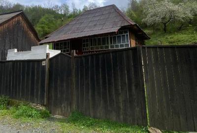 Casă cu 2 camere cu Teren 2267 Mp în Lupșa - 4