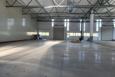 Spațiu industrial, 10000 mp în Centură