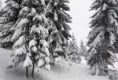 Teren de 1075 mp, în Colibița - 1