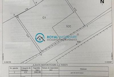 Royal Imobiliare - Spatiu industrial - service auto - 13