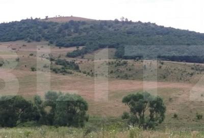 Teren intravilan 5700 mp in zona Centurii Muncii-Apahida - 2