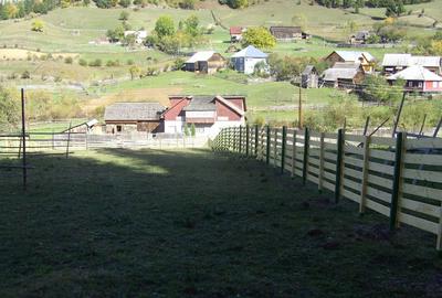 Teren de 1000 mp, în Lunca - 3