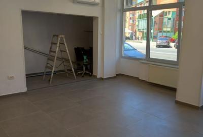Spațiu comercial, de 90 mp, în Calea Caransebeșului - 4