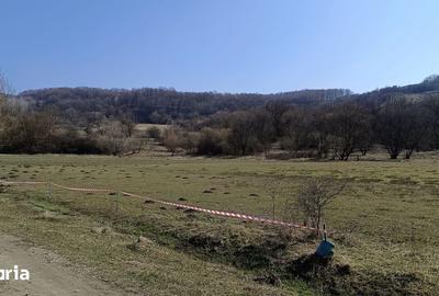 Teren de 2500 mp, în Central - 7