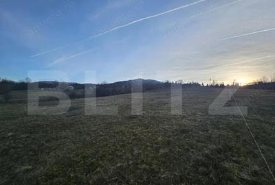 Teren intravilan de 16667 mp, Sosea de Centura, Abrud - 4