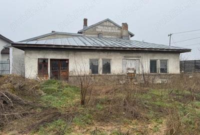 Teren de 1800 mp, în Dărăști-Ilfov - 8