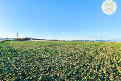 Teren intravilan 22800mp la 2km de Parcul Industrial Prejmer - 5