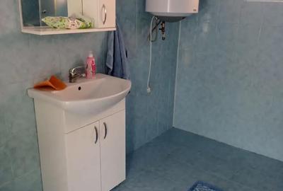 Casă cu 2 camere în Lugoj - 5