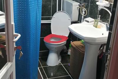 Casa de vanzare cu teren - 8