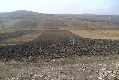 Teren de 5515 mp, în Dezmir