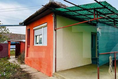 Casa de vanzare in Macea, teren 942 mp - 3