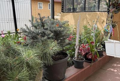Casă cu 2 camere cu Teren 133 Mp în Central