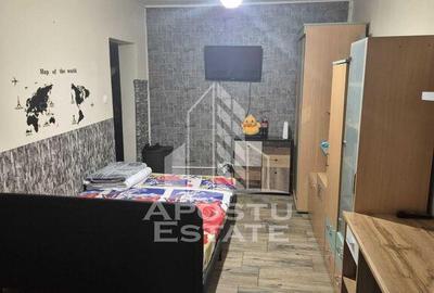 Garsonira de inchiriat zona UMT, - 4