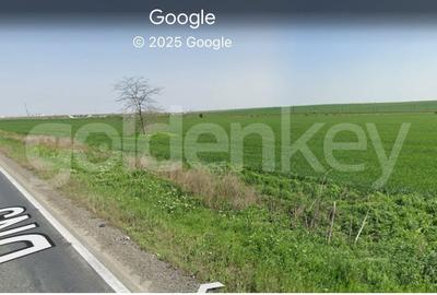 Teren 10.000 mp Constanta - Valu Traian - 4