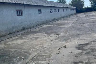 Teren de 5000 mp, în Central - 2