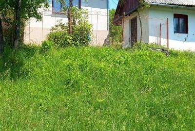 Casă individuală cu 3 camere cu Teren 15554 Mp în Central - 11