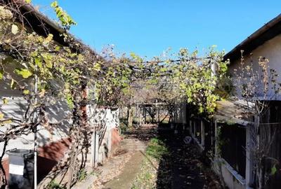 Casă cu 3 camere cu Teren 587 Mp în Viile Noi - 4