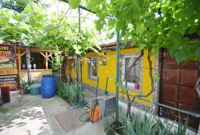 Casa din caramida, Parter + Pod - Dobroesti - 17