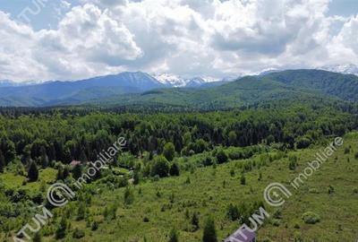 Teren extravilan de vanzare 800 mp in Avrig zona Valea Avrigului - 1
