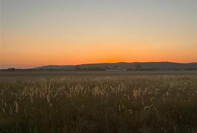 RECO Teren intravilan pentru casa Osorhei cu PUZ - 11