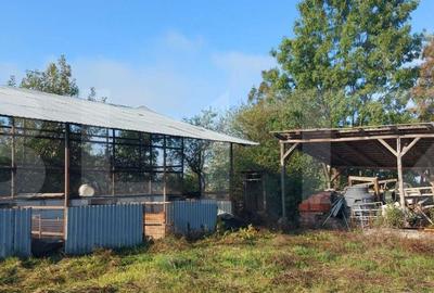 Casă cu 2 camere în Silagiu - 8