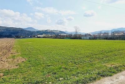 Teren de 8906 mp, în Dofteana - 2