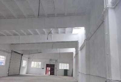 Hala 470 mp  cu platforma betonata de inchiriat,Sos de Centura Vest - 13