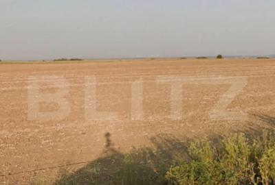 Teren de 22192 mp, în Cârcea