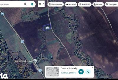 Teren de 4000 mp, în Dobrovăț - 1