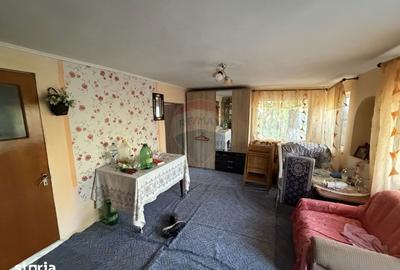 Casă cu 5 camere cu Teren 3818 Mp în Vidra - 2