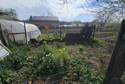 Casă individuală cu 3 camere cu Canalizare în Cornetu - 21