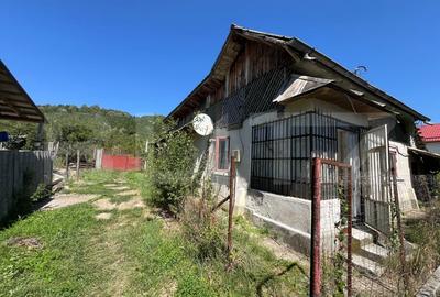 Casa de vanzare, cu 2 camere, 67 mp utili, teren 2.219 mp - Fieni - 17