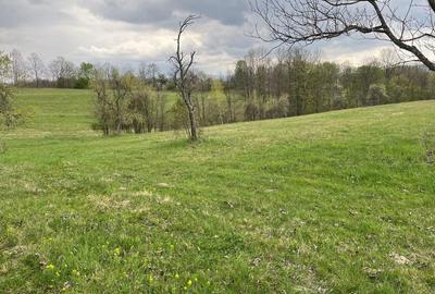 Spațiu comercial, în Central - 4