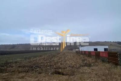 Teren în Girov - 2