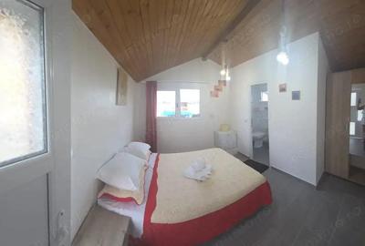 Pensiune Retrasa Ideala Petreceri Private Costinesti - Schitu - 5