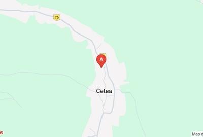 Casă individuală cu 2 camere cu Teren 750 Mp în Cetea - 1