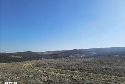 Teren de 510 mp, în Tomești - 3