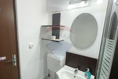 Apartament cu 1 camera de inchiriat in Micalaca - 2