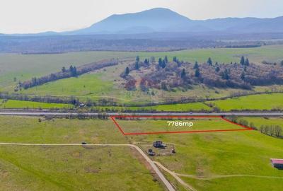 Teren 7786 mp/Cur?i construc?ii/Benzinarie - 3