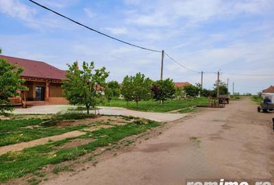 Domeniu, 9,5 ha, 25 KM de Timisoara - 11