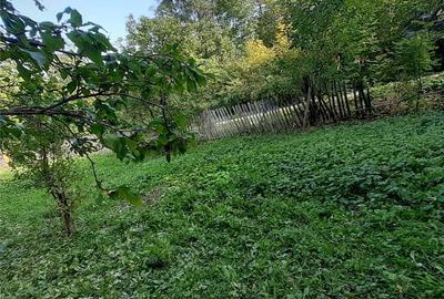 Teren de 2500 mp, în Pietriceaua - 3