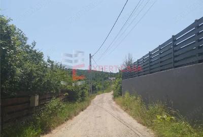 Teren intravilan lot casa Barnova - 1