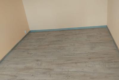 Dambu Pietros, Targu Mures - 2