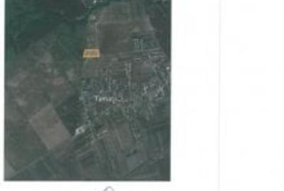 Teren Ostratu-Tamasi // OPORTUNITATE INVESTITII Teren Ostratu-Tamasi // OPORTUNITATE INVESTITII - 13