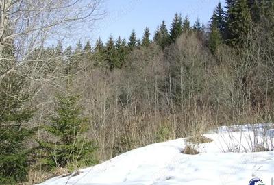 Teren în Cioplea - 3